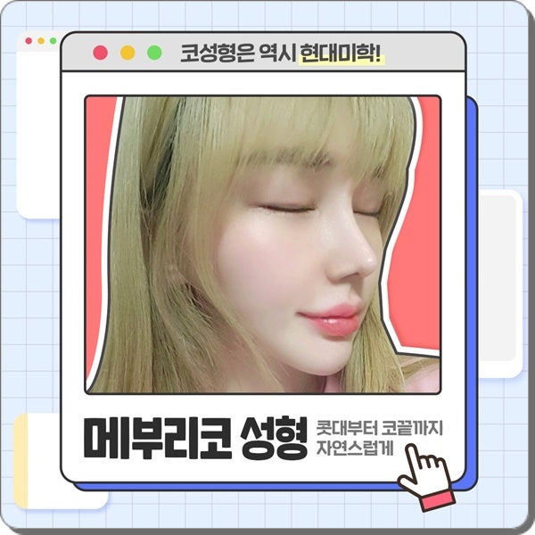 매부리코 꼼꼼하게 알아보고 계획을 차분히