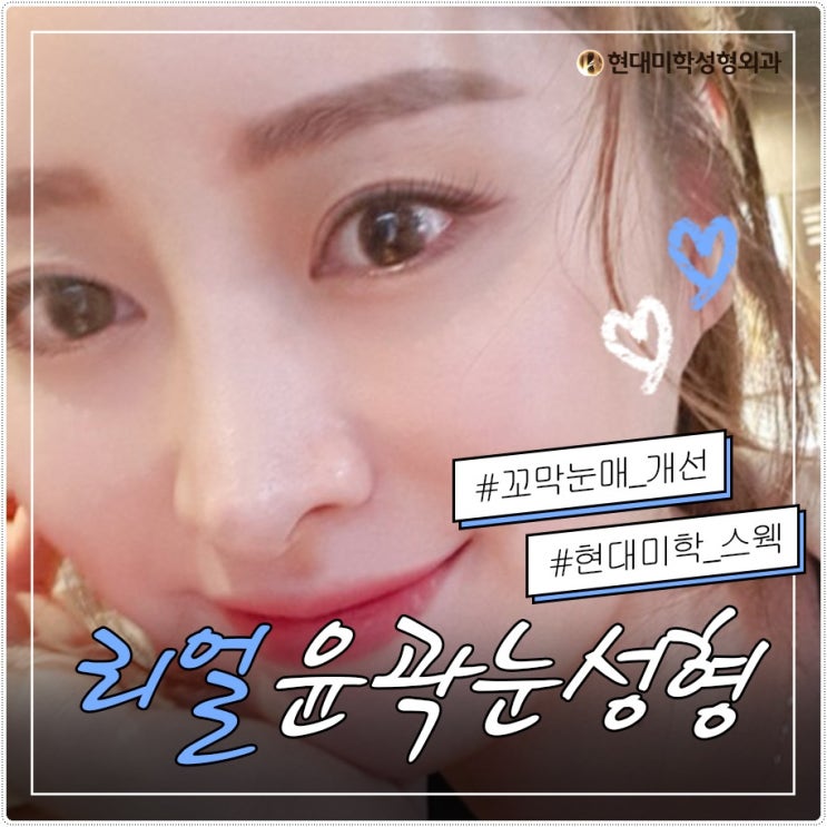 듀얼트임잘하는곳 사랑스런 강아지상