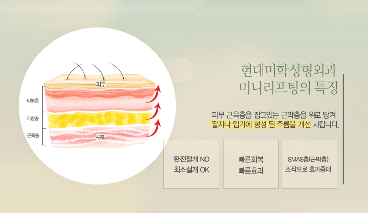 얼굴팔자주름 연예인 탱탱한 동안 비결