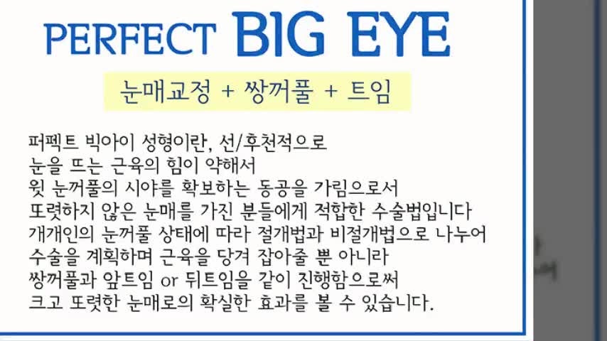 동영상