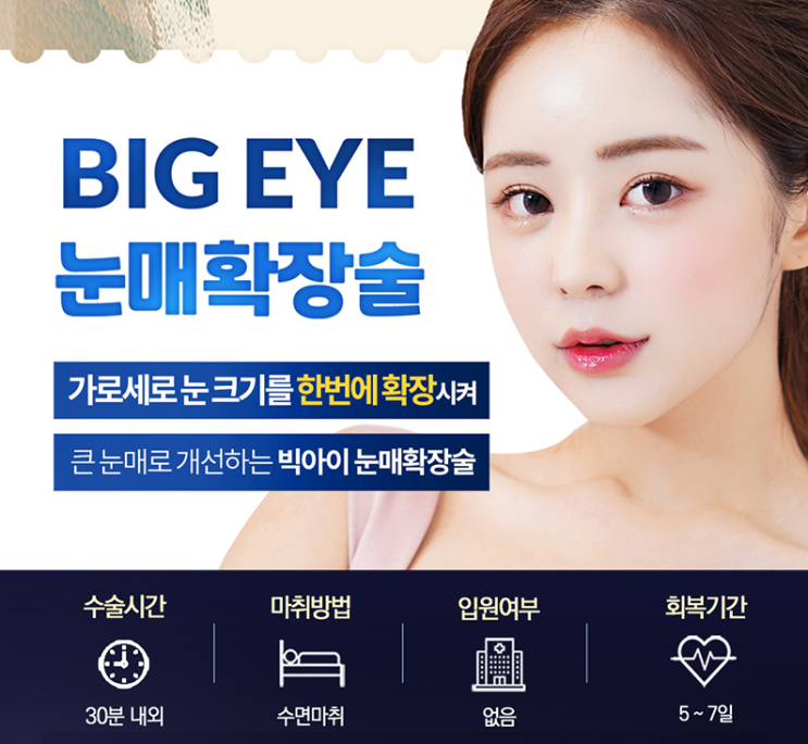 쌍수 결과로 보여주는 현대미학