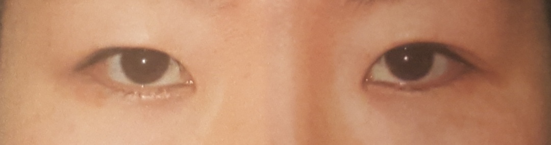 기타 후기