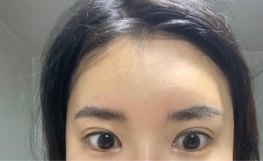 이마거상술(엔도타인) 후기