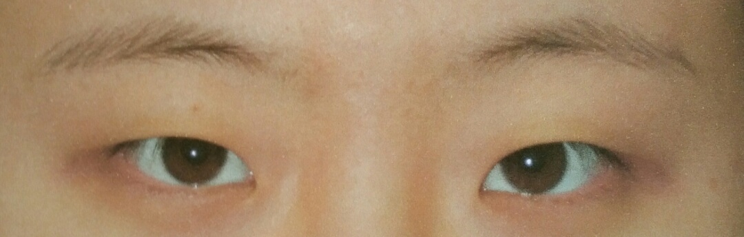 기타 후기