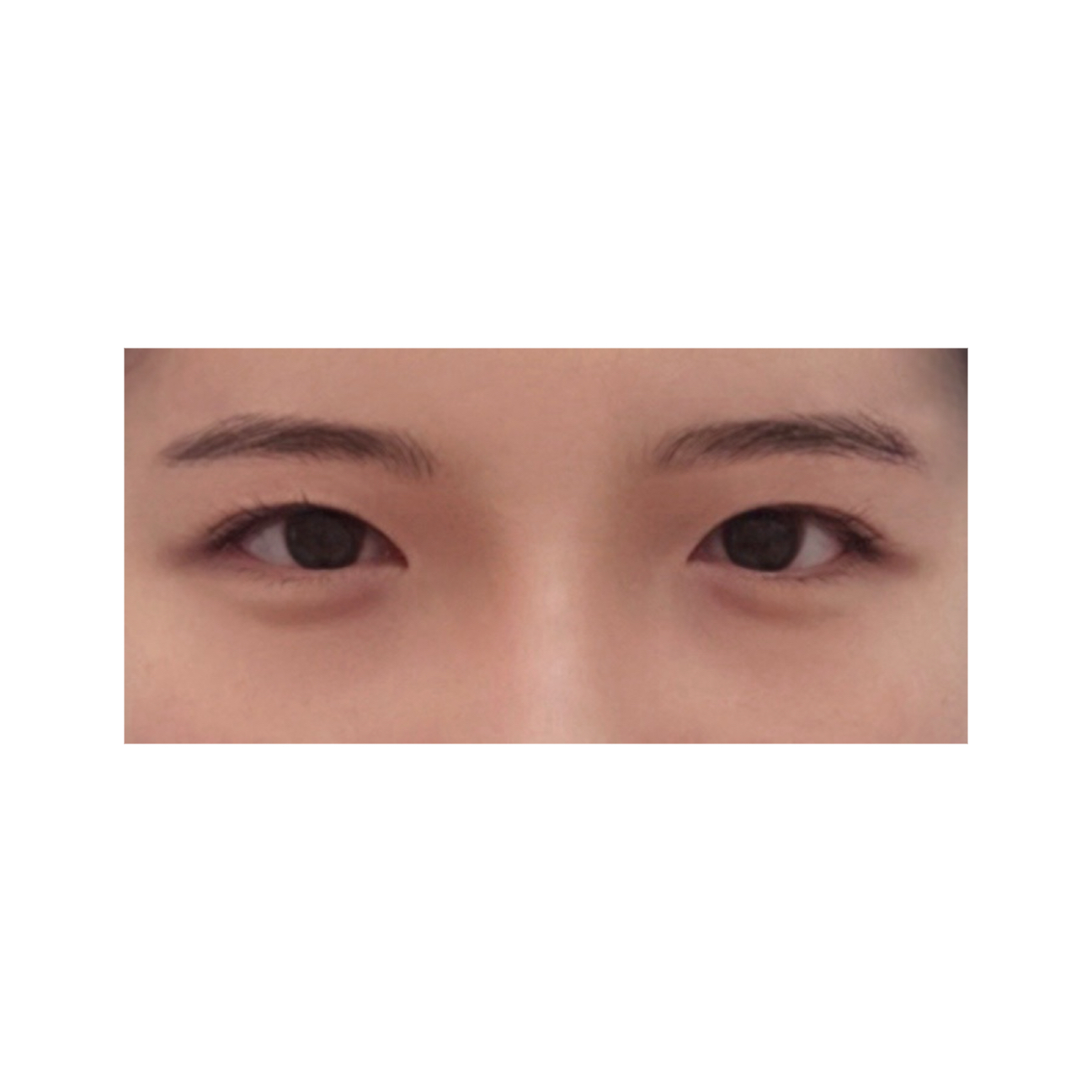이마거상술(엔도타인) 후기