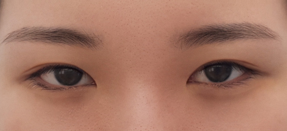 이마거상술(엔도타인) 후기