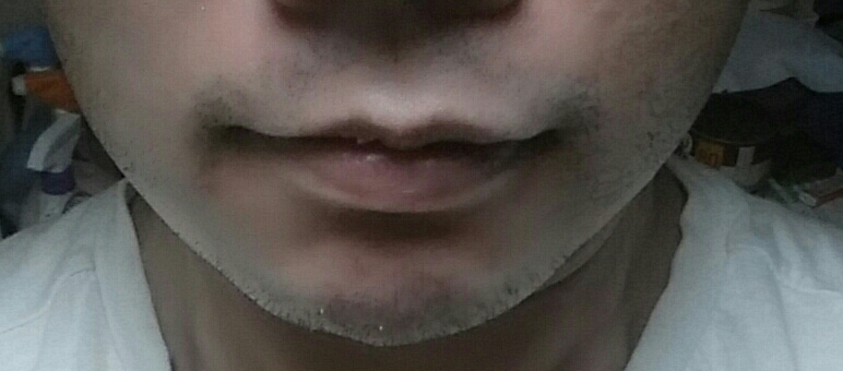 기타 후기