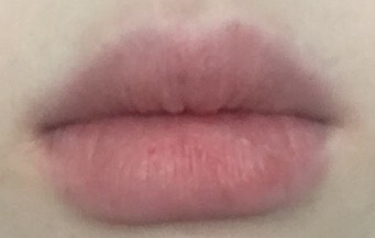 기타 후기