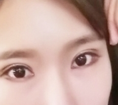 무쌍시져시져