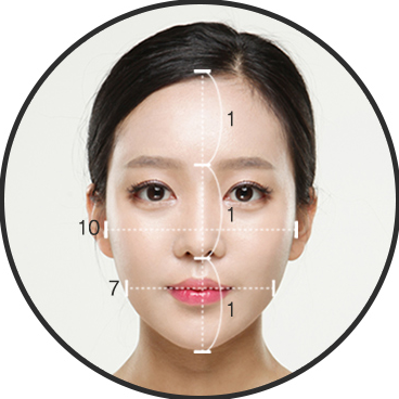 비율 — 얼굴 윤곽 비율 측정