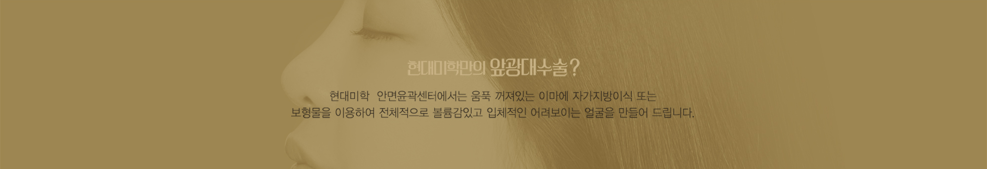 현대미학만의 앞광대수술? — 모델 얼굴 위 설명