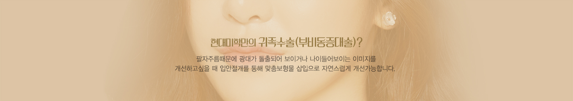 현대미학만의 귀족수술(부비동증대술)? — 모델 얼굴 위 설명