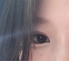 현대미학베스트셀피