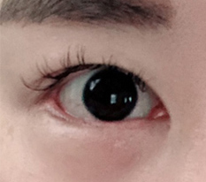 현대미학베스트셀피
