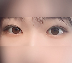 현대미학베스트셀피
