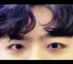 현대미학베스트셀피