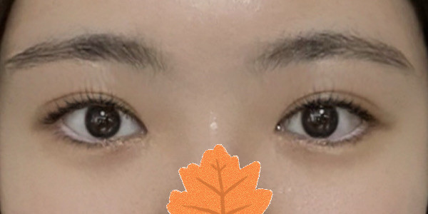 현대미학베스트셀피