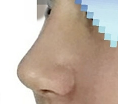 현대미학베스트셀피