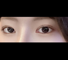 현대미학베스트셀피