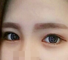 현대미학베스트셀피
