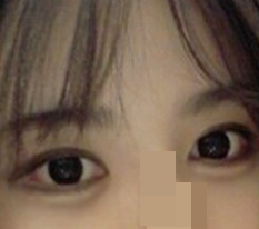 현대미학베스트셀피