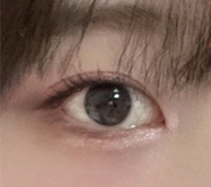 현대미학베스트셀피