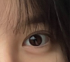 현대미학베스트셀피