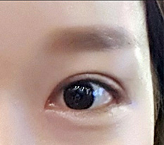 현대미학베스트셀피