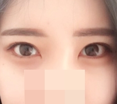 현대미학베스트셀피