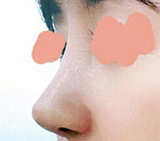 현대미학베스트셀피