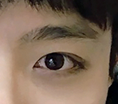 현대미학베스트셀피