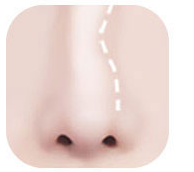 콧등이 휘어진 코 일러스트
