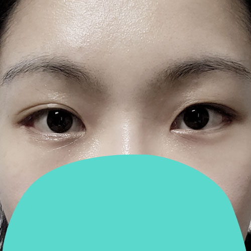 눈 마음에 들어