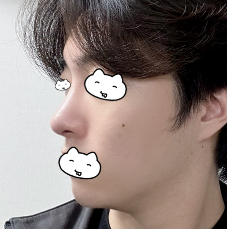 콧대 내 마음에 들어요